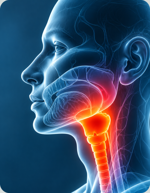 Head and Neck Tumour Surgery